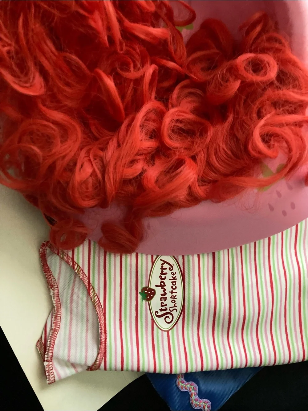Strawberry Shortcake Cartoon Character Complete Dress Up Halloween Child Costume